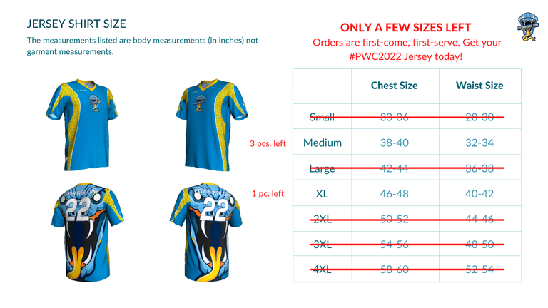 Jersey Shirt Size Chart & Design (3).png